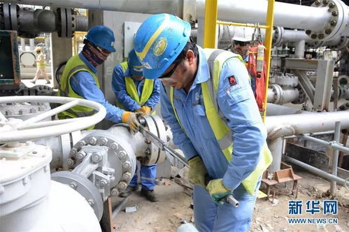 攜手共進(jìn)，開創(chuàng)未來 科威特王子與中國(guó)伙伴的戰(zhàn)略合作探索