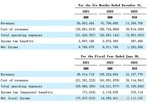 重銷售輕研發(fā)，致保科技赴美IPO成長(zhǎng)性迎考，單一業(yè)務(wù)依賴風(fēng)險(xiǎn)凸顯