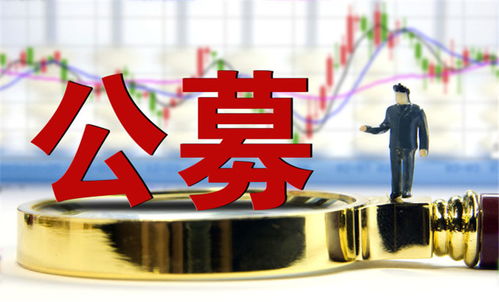 認購資金超300億 首批reits遭瘋搶 配售比例低至1.5 機構提示風險