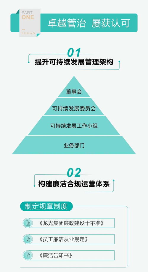 一圖讀懂龍光集團（03380）2020年度ESG報告 投資管理